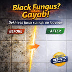 Tilex Deep-Stain Mold & Mildew Remover – Instant Black Spot & Fungus Remover | But 1 Get 2 FREE