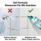 Mold Cleaner Gel | BUY 1 GET 1 FREE!