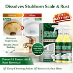 Oxalic Acid Cleaner Scale & Rust Expert | BUY 1 GET 1 FREE!