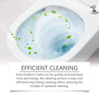 Oxalic Acid Cleaner Scale & Rust Expert | BUY 1 GET 1 FREE!